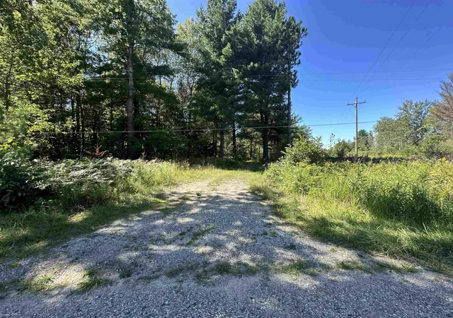 Homes for sale in Hale, MI | 0 Long Lake Rd, Hale, MI 48739 | MLS# 50207312