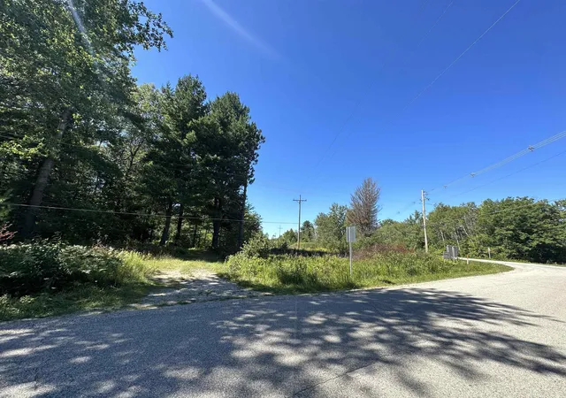 Homes for sale in Hale, MI | 0 Long Lake Rd, Hale, MI 48739 | MLS# 50207312