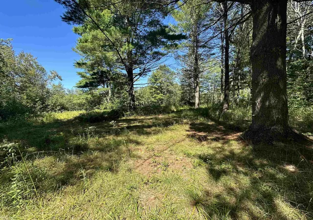 Homes for sale in Hale, MI | 0 Long Lake Rd, Hale, MI 48739 | MLS# 50207312