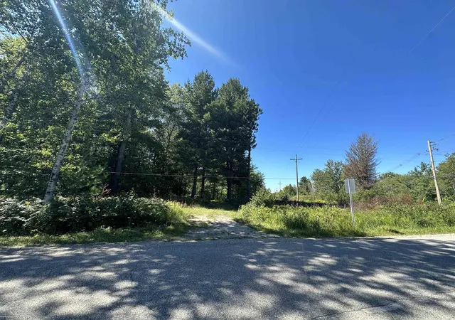 Homes for sale in Hale, MI | 0 Long Lake Rd, Hale, MI 48739 | MLS# 50207312