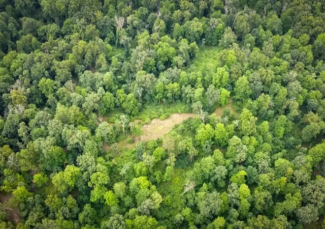 Photo 3 of Land for sale at V/l 2000 Ryan Rd, Hastings, MI 49058 | MLS# 70550748 | Listing updated on 2026-08-26