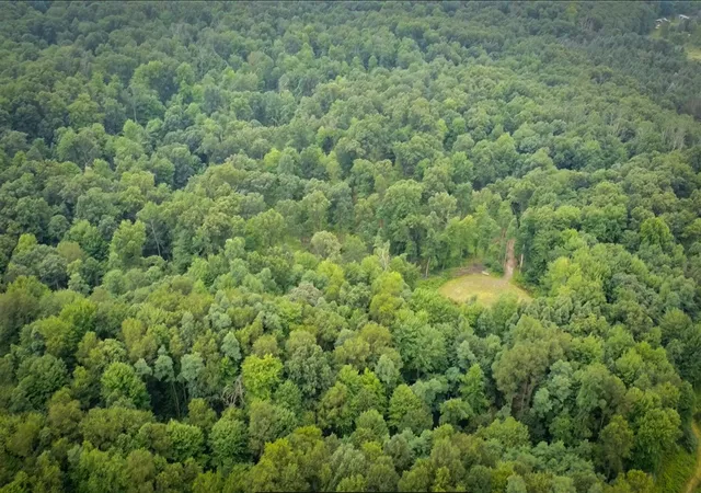 Photo 4 of Land for sale at V/l 2000 Ryan Rd, Hastings, MI 49058 | MLS# 70550748 | Listing updated on 2026-08-26