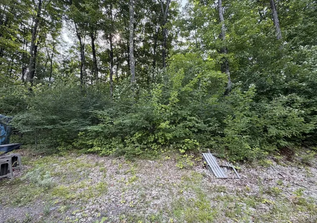 Photo 2 of Land for sale at N4260 W Tamarack Lake Rd, Watersmeet, MI 49969 | MLS# 50218847 | Listing updated on 2026-08-19