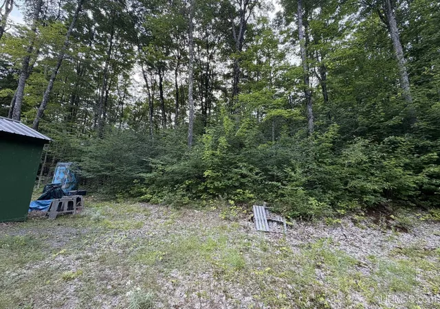 Photo 3 of Land for sale at N4260 W Tamarack Lake Rd, Watersmeet, MI 49969 | MLS# 50218847 | Listing updated on 2026-08-19