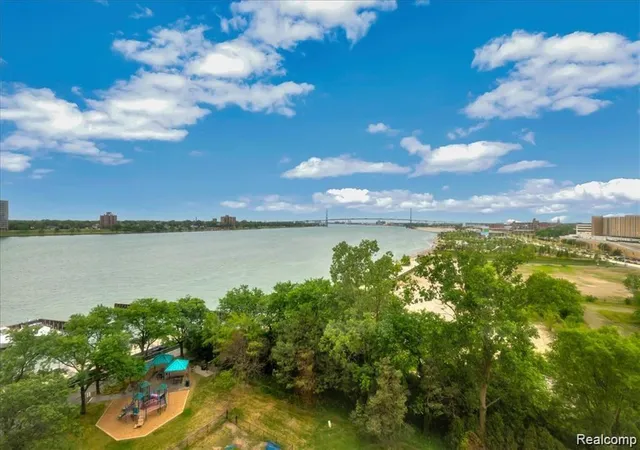 53rd image of 1001 W Jefferson Ave #2H, Detroit, MI 48226 | MLS# 61009266