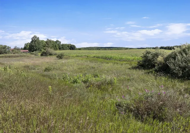 3rd image of 7921 Floreys Ranch Rd, Buckley, MI 49620 | MLS# 80072631