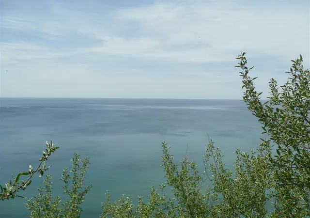 Photo 2 of Land for sale at S Lakeshore Dr, Ludington, MI 49431 | MLS# 70471101 | Listing updated on 2026-04-22