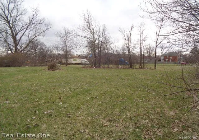 Photo 3 of Land for sale at 1749 Collingwood St, Detroit, MI 48206 | MLS# 60300664 | Listing updated on 2025-12-22