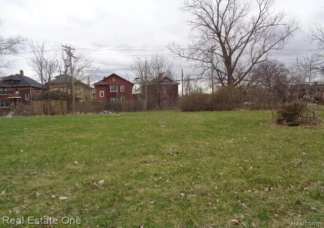 Photo 3 of Land for sale at 1749 Collingwood St, Detroit, MI 48206 | MLS# 60300664 | Listing updated on 2025-12-22
