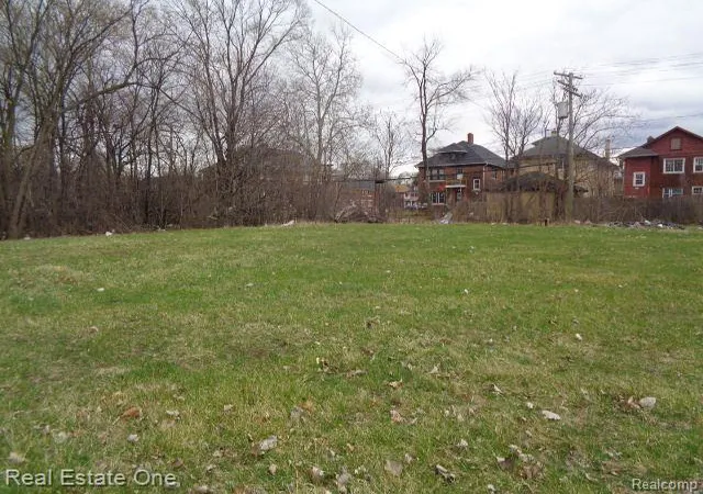 Photo 4 of Land for sale at 1749 Collingwood St, Detroit, MI 48206 | MLS# 60300664 | Listing updated on 2025-12-22
