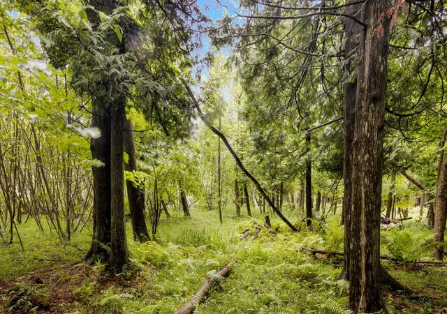 5th image of 4361 Jeri Rd, Interlochen, MI 49643 | MLS# 80069986