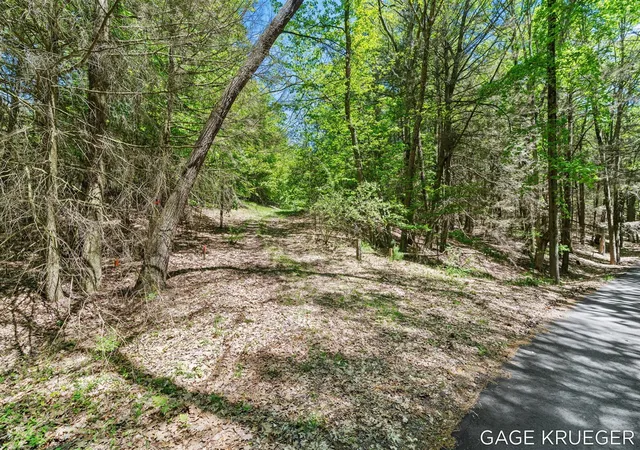 Homes for sale in Shelby, MI | W Thomas Rd, Shelby, MI 49455 | MLS# 70536463