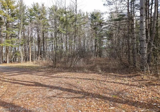 Photo 2 of Land for sale at 11461 White Lake Rd, Fenton, MI 48430 | MLS# 60365659 | Listing updated on 2025-12-14