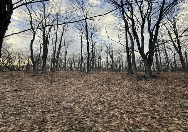 Photo 1 of Land for sale at 1208 S Ridge Ct, Traverse City, MI 49696 | MLS# 80066031 | Listing updated on 2026-08-06