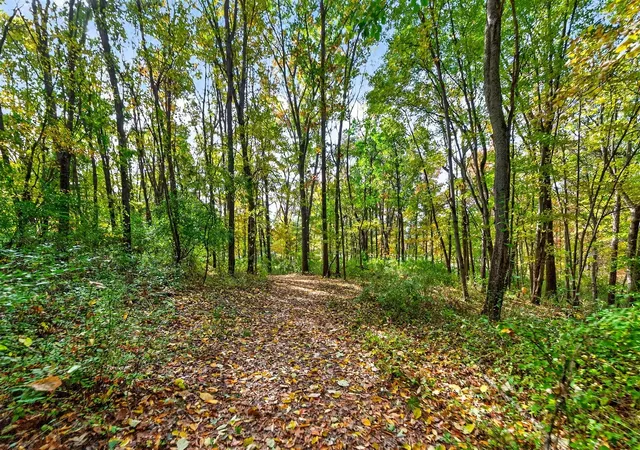 Photo 4 of Land for sale at 66561 Conrad Rd, Edwardsburg, MI 49112 | MLS# 70502984 | Listing updated on 2026-08-31