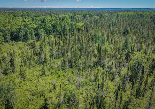 Homes for sale in Hulbert, MI | S North Hulbert Rd, Hulbert, MI 49748 | MLS# 70543078