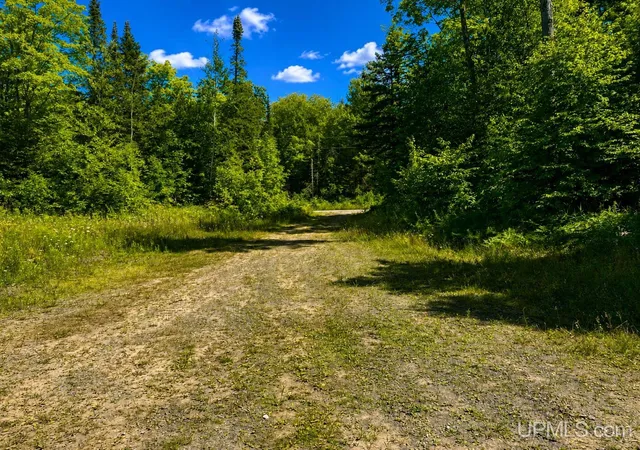 Photo 4 of Land for sale at 42065 Heikkinen School Rd, Toivola, MI 49965 | MLS# 50219826 | Listing updated on 2026-09-11