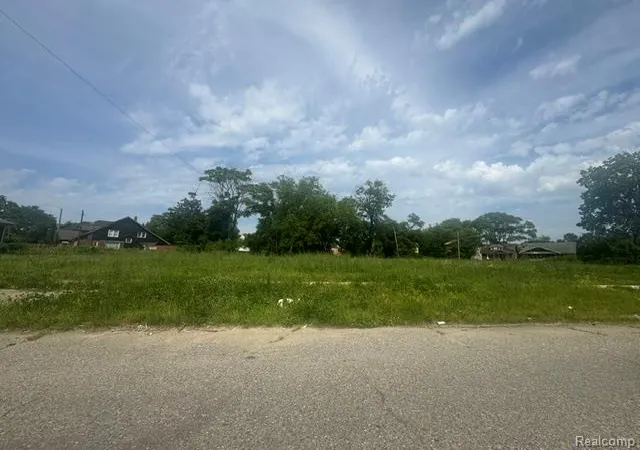 Photo 2 of Land for sale at 8924 Dailey Ct, Detroit, MI 48204 2933 | MLS# 61025367 | Listing updated on 2026-08-28