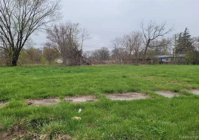 Photo 1 of Land for sale at 3935 Beaconsfield St, Detroit, MI 48224 | MLS# 60210104 | Listing updated on 2026-06-25