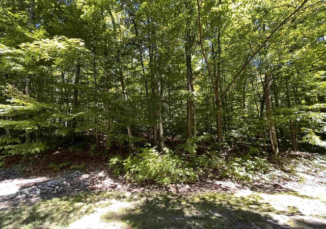 Homes for sale in Bellaire, MI | Lot 70 N Klaffen Strasse, Bellaire, MI 49615 | MLS# 80062456
