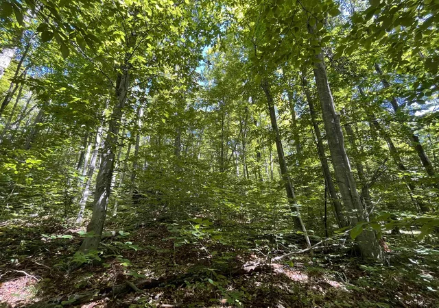Homes for sale in Bellaire, MI | Lot 70 N Klaffen Strasse, Bellaire, MI 49615 | MLS# 80062456