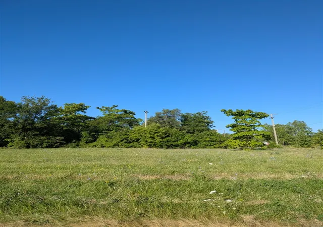 Land for sale at 3803 Tillman St, Detroit, MI 48208-2443 | MLS# 70549170