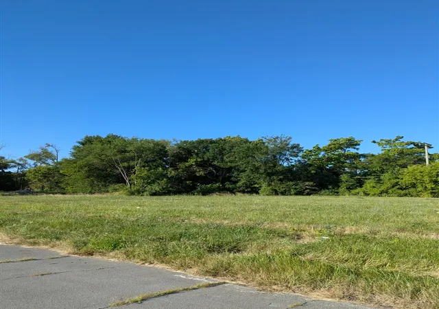 Photo 2 of Land for sale at 3803 Tillman St, Detroit, MI 48208 | MLS# 70549170 | Listing updated on 2026-08-27