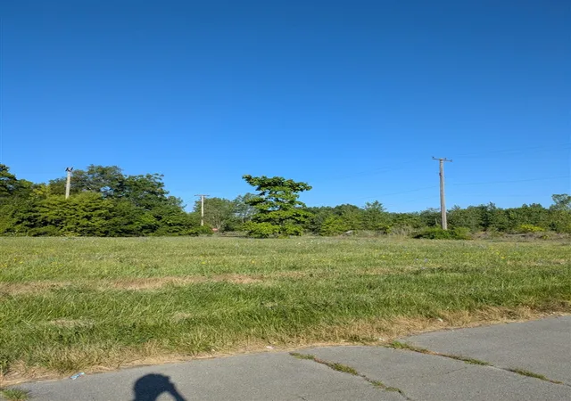 Photo 3 of Land for sale at 3803 Tillman St, Detroit, MI 48208 | MLS# 70549170 | Listing updated on 2026-08-27