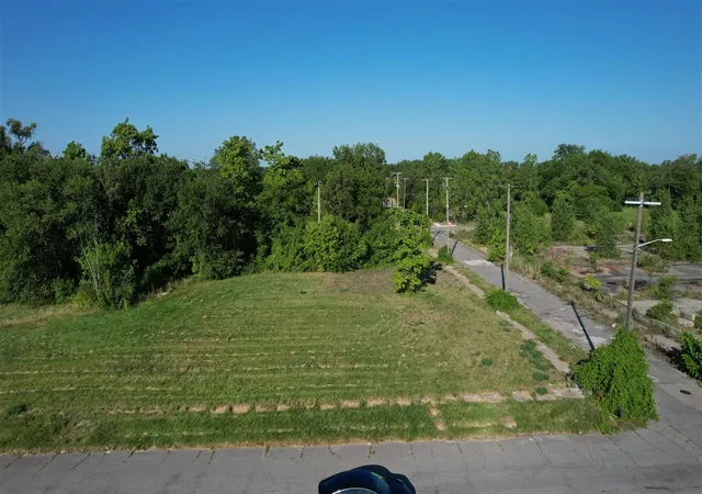 Photo 4 of Land for sale at 3803 Tillman St, Detroit, MI 48208 | MLS# 70549170 | Listing updated on 2026-08-27