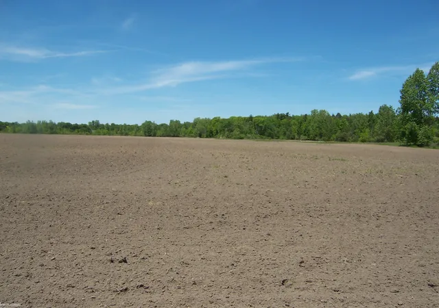 Homes for sale in Kimball, MI | Lot 8 Lapeer Rd Rd, Kimball, MI 48074 | MLS# 50209902