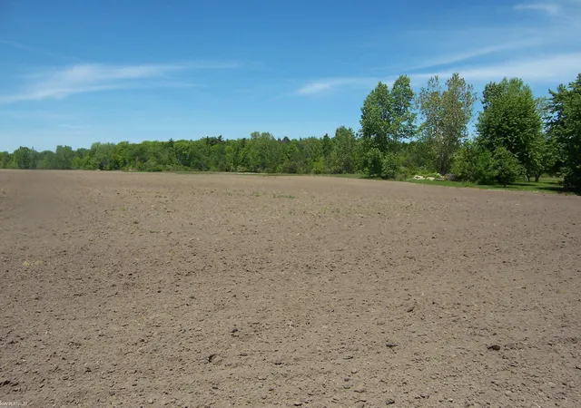 Homes for sale in Kimball, MI | Lot 8 Lapeer Rd Rd, Kimball, MI 48074 | MLS# 50209902