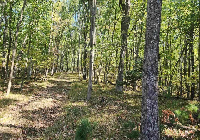 Homes for sale in Farwell, MI | 4809 White Birch Ln, Farwell, MI 48622 | MLS# 50211471