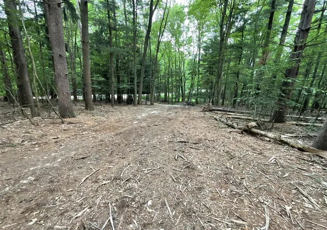 Photo 4 of Land for sale at A3 70th St & 111th Ave, South Haven, MI 49090 | MLS# 70460843 | Listing updated on 2026-08-07
