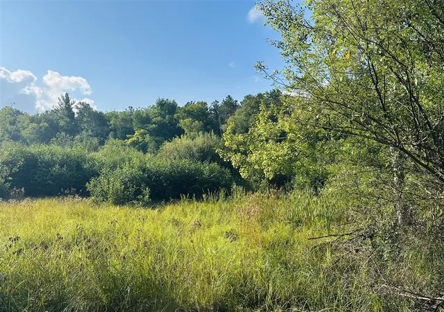 Photo 3 of Land for sale at 286a Red Apple Rd, Eastlake, MI 49626 | MLS# 70537383 | Listing updated on 2026-08-24