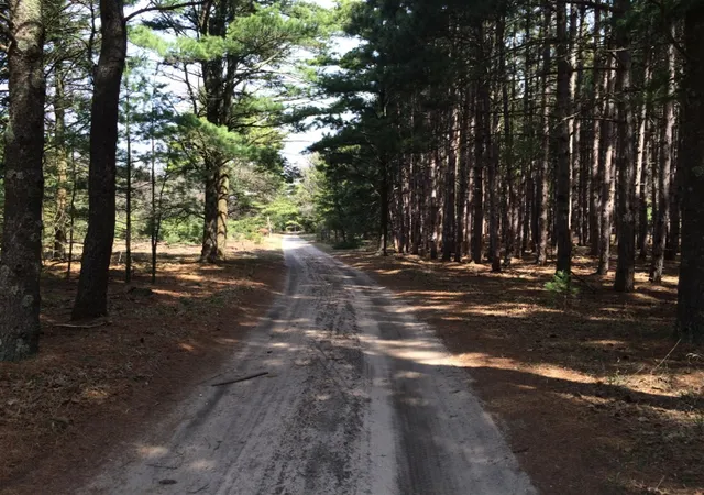 Photo 4 of Land for sale at 286a Red Apple Rd, Eastlake, MI 49626 | MLS# 70537383 | Listing updated on 2026-08-24