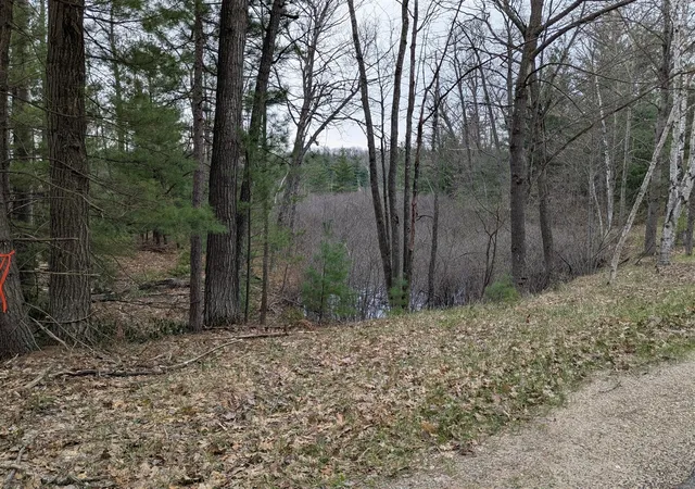 Homes for sale in Lake City, MI | V/L 0 West Crooked Lake Rd, Lake City, MI 49651 | MLS# 70506005
