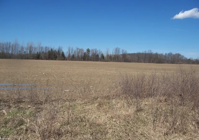 Homes for sale in Avoca, MI | Lot 3 Beard Rd Rd, Avoca, MI 48006 | MLS# 50203854