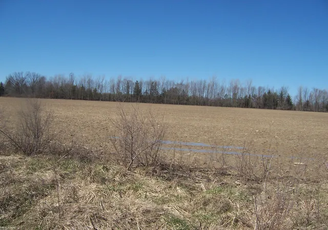 Homes for sale in Avoca, MI | Lot 3 Beard Rd Rd, Avoca, MI 48006 | MLS# 50203854