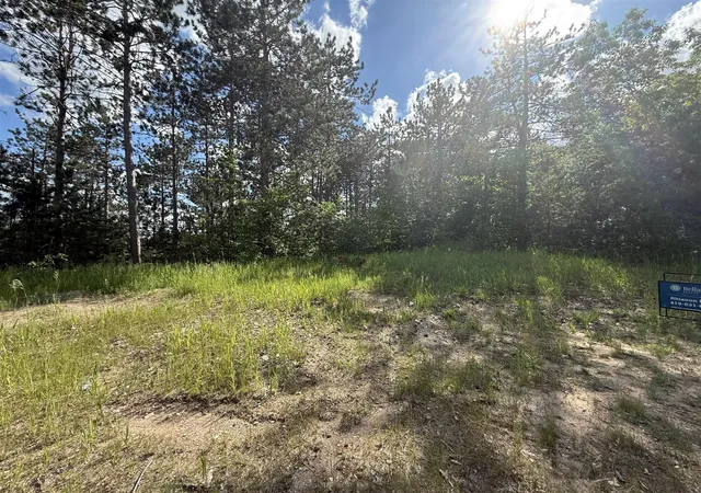 image of V/l Bear Paw Trl, Vanderbilt, MI 49795 | MLS# 70538335