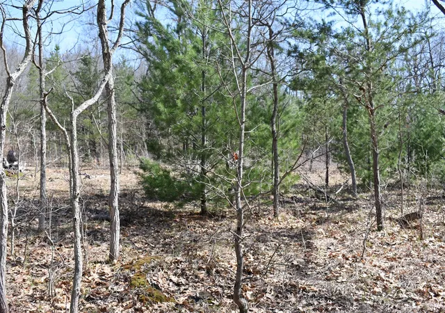 Photo 3 of Land for sale at 000 S Walhalla Rd, Fountain, MI 49410 | MLS# 70526062 | Listing updated on 2026-06-23