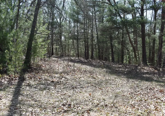 Photo 3 of Land for sale at 000 S Walhalla Rd, Fountain, MI 49410 | MLS# 70526062 | Listing updated on 2026-06-23