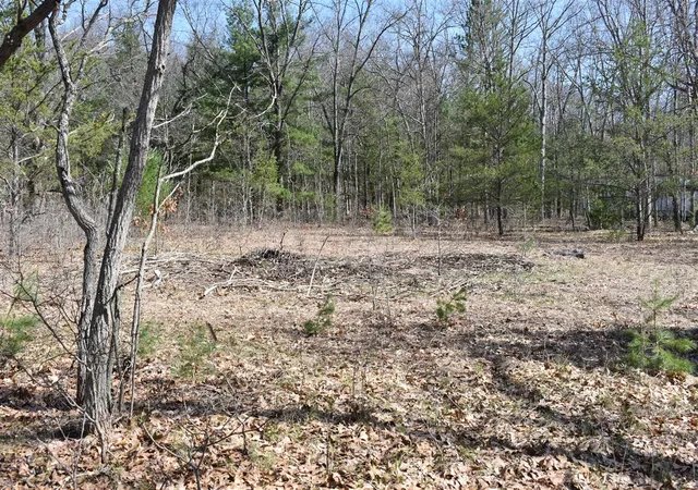 Photo 4 of Land for sale at 000 S Walhalla Rd, Fountain, MI 49410 | MLS# 70526062 | Listing updated on 2026-06-23