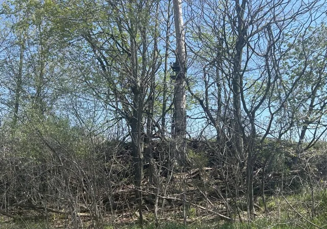 3rd image of 0 Vl Church Rd, North Adams, MI 49262 | MLS# 70527877