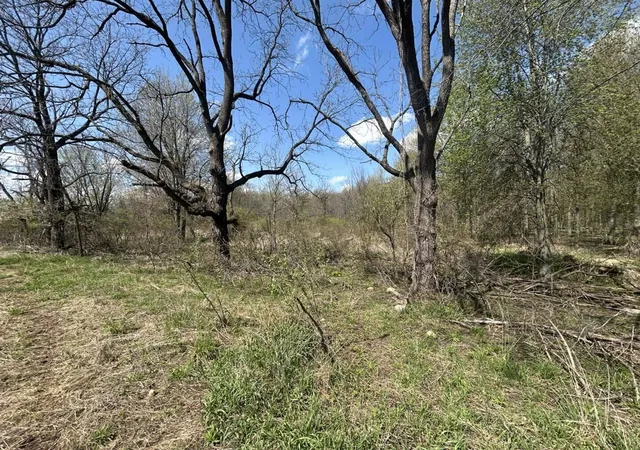 4th image of 0 Vl Church Rd, North Adams, MI 49262 | MLS# 70527877