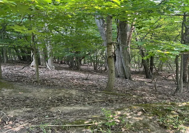 2nd image of V/l Longbridge East Parcel 11, Pentwater, MI 49449 | MLS# 70548383