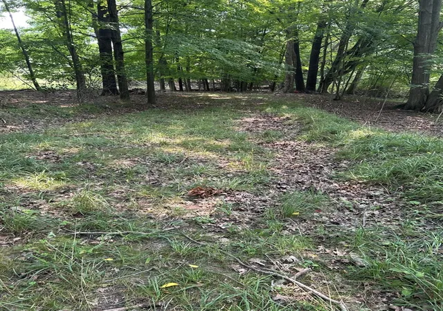 Photo 3 of Land for sale at V/l Longbridge E Parcel 11, Pentwater, MI 49449 | MLS# 70548383 | Listing updated on 2026-08-20