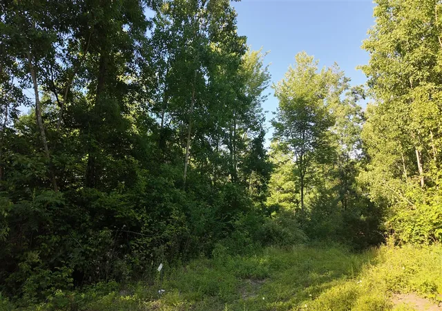 Homes for sale in Pierson, MI | 5170 Rocky Top Parcel B Ln, Pierson, MI 49339 | MLS# 70539804