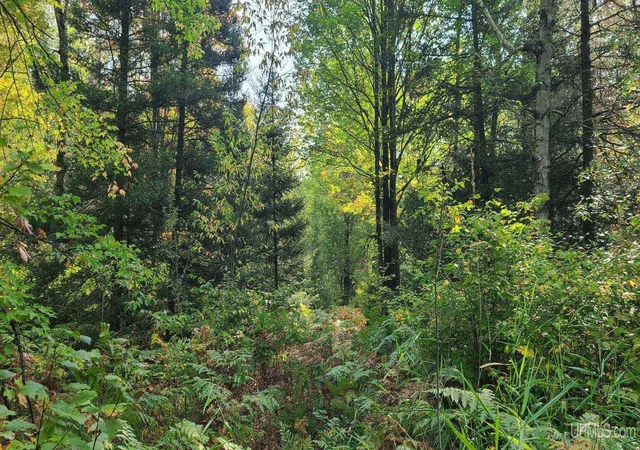 Photo 10 of Land for sale at Tbd Parks Farm Rd, Amasa, MI 49903 | MLS# 50217479 | Listing updated on 2026-08-05