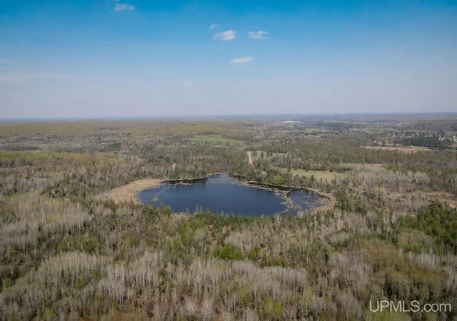 Photo 1 of Land for sale at Tbd Parks Farm Rd, Amasa, MI 49903 | MLS# 50217479 | Listing updated on 2026-08-05