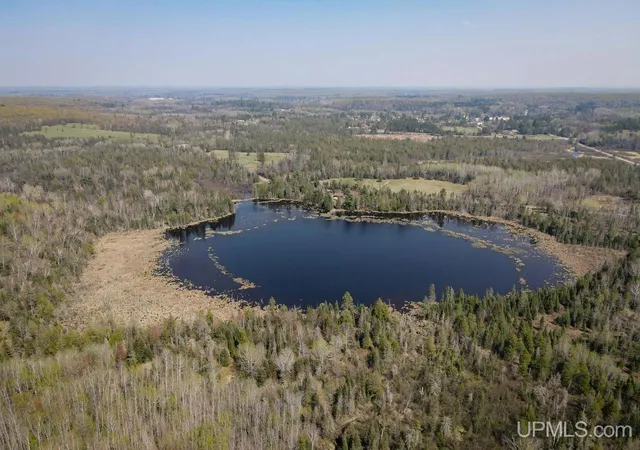 Photo 2 of Land for sale at Tbd Parks Farm Rd, Amasa, MI 49903 | MLS# 50217479 | Listing updated on 2026-08-05